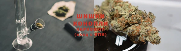 трава Михайловск
