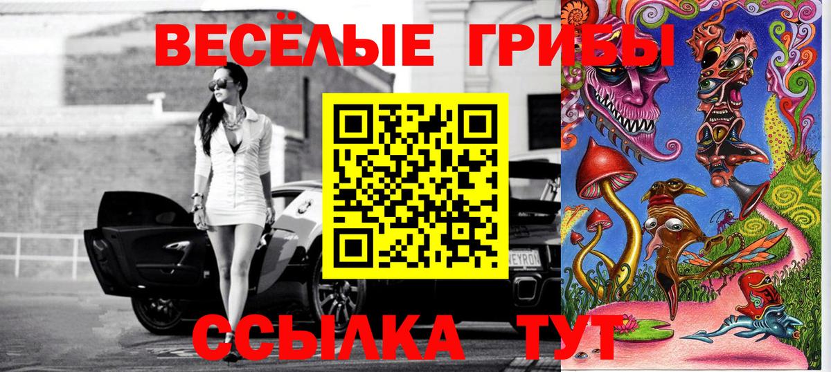 Псилоцибиновые грибы Psilocybe Ульяновск