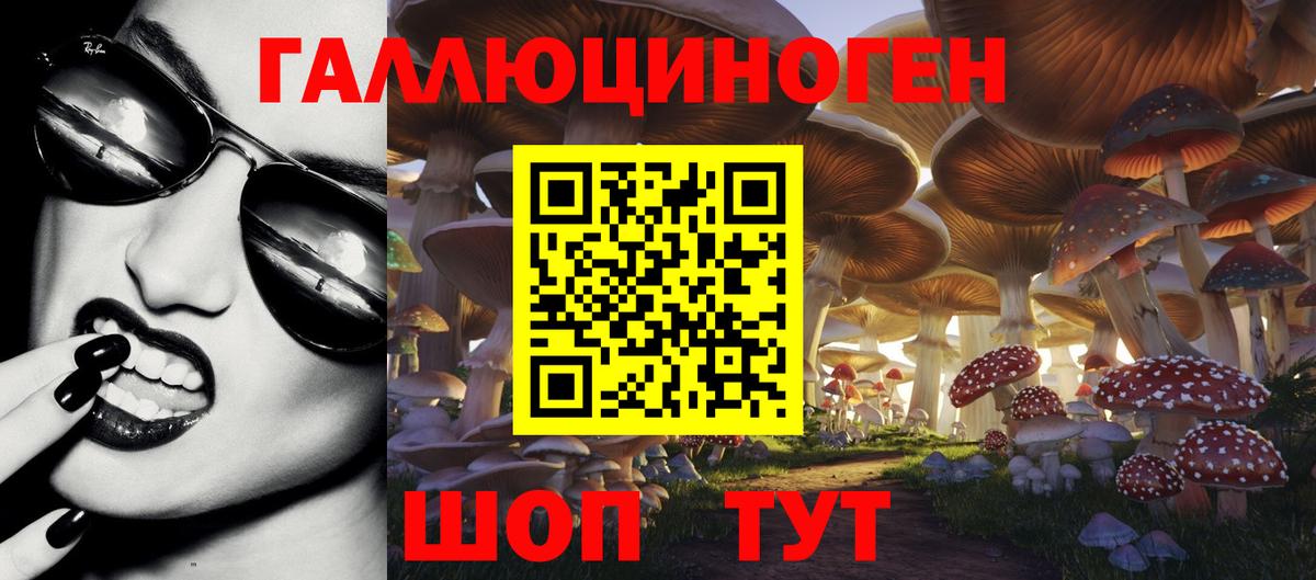 Псилоцибиновые грибы GOLDEN TEACHER Ульяновск