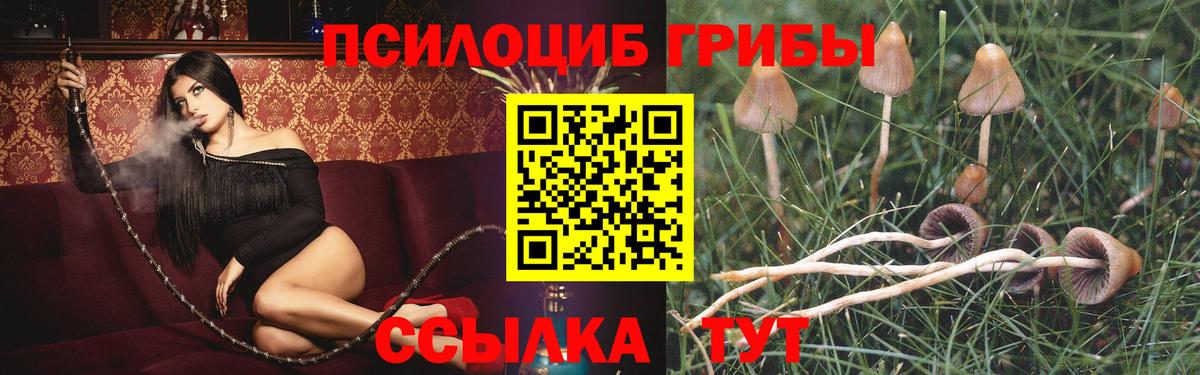 Псилоцибиновые грибы мицелий  Ульяновск 